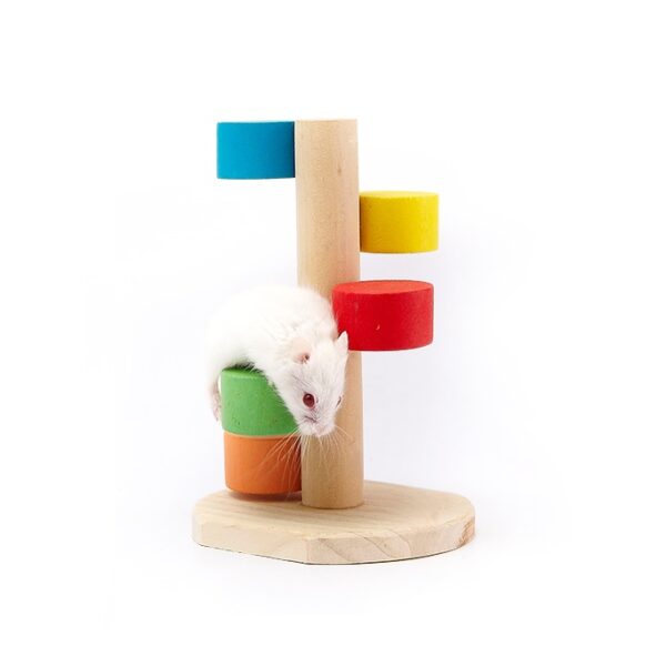 Knaagdieren Klimpaal Kleurrijk