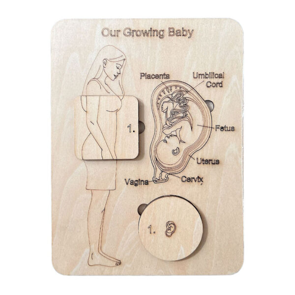 Zwangerschapsdagboek Zwangerschap Cadeau Baby Echoboekje Voorlichting