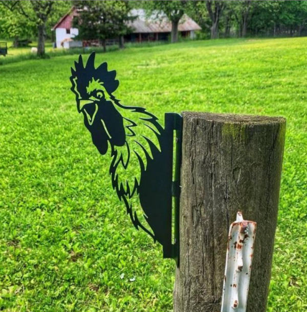 Glurende Kip Haan Tuinhek Tuin Metaal Zwart Silhouet Metal Art