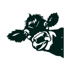 Glurende Koe Tuinhek Metal Art - Metaal Zwart Silhouet - Tuindecoratie