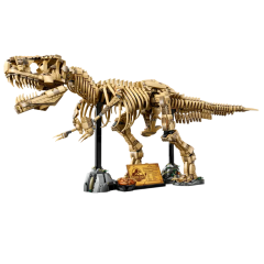 LEGO T-Rex skelet bouwset met display, geïnspireerd door dinosaurussen voor liefhebbers en verzamelaars.