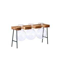 Moderne glazen vazen in houten standaard voor interieurdecoratie. Geschikt als unieke plantenhouder of bloemenvaas.