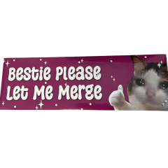 Sticker met tekst Bestie Please Let Me Merge en een kattenfoto op een paarse achtergrond met sterretjes.