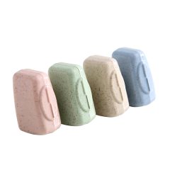 Tandenborstel Hoesje - 4 stuks - Covers Kapje - Reizen Reis - Doosje