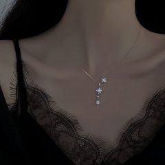 Elegant damaskant met sneeuwvlok-hanger op een zilveren ketting, gedragen bij zwarte kanten jurk.