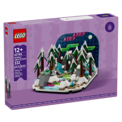 LEGO Northern Lights Diorama set 40785, voor kinderen vanaf 12 jaar, 332 steentjes. Creëer je eigen poollichtlandschap.